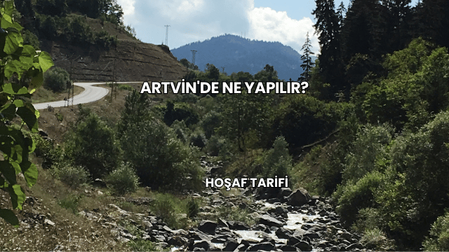 Artvin'de Ne Yapılır?