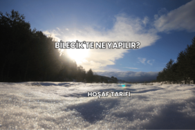 Bilecik'te Ne Yapılır?