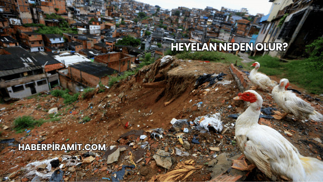 Heyelan Neden Olur?