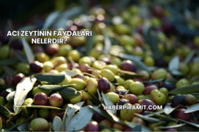 Acı Zeytinin Faydaları Nelerdir?