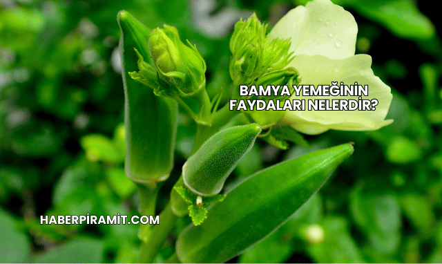 Bamya Yemeğinin Faydaları Nelerdir?
