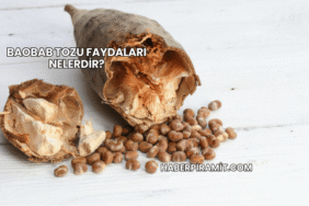 Baobab Tozu Faydaları Nelerdir?