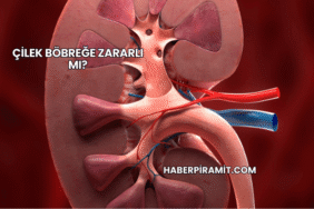 Çilek Böbreğe Zararlı mı?