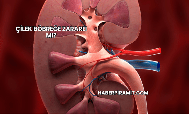 Çilek Böbreğe Zararlı mı?