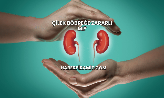 Çilek Böbreğe Zararlı mı?
