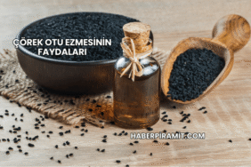 Çörek Otu Ezmesinin Faydaları