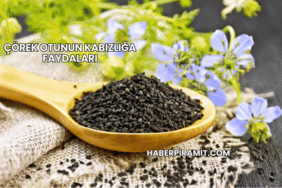 Çörek Otunun Kabızlığa Faydaları