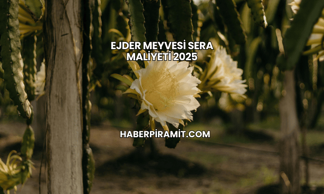 Ejder Meyvesi Sera Maliyeti 2025