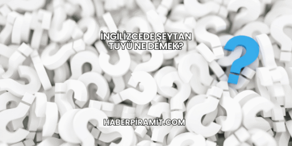 İngilizcede Şeytan Tüyü Ne Demek?