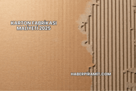 Karton Fabrikası Maliyeti 2025