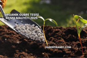Organik Gübre Tesisi Açma Maliyeti 2025