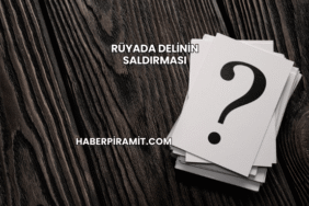 Rüyada Delinin Saldırması