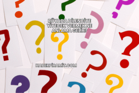 Rüyada Dilenciye Yiyecek Vermek Ne Anlama Gelir?