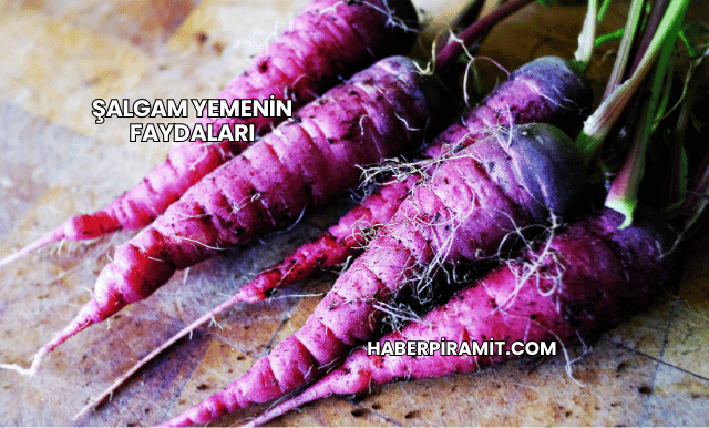 Şalgam Yemenin Faydaları