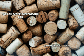 Şarap Mantarı Zararlı mı?