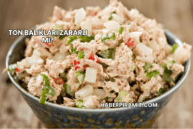 Ton Balıkları Zararlı mı?