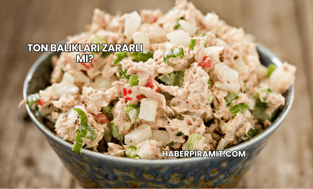 Ton Balıkları Zararlı mı?