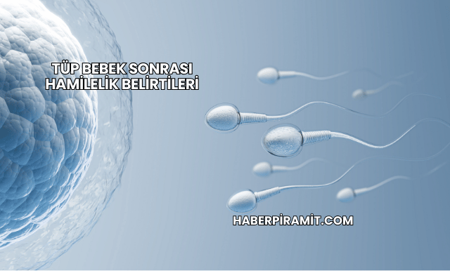 Tüp Bebek Sonrası Hamilelik Belirtileri