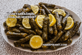 Üzüm Yaprağının Faydaları Nelerdir?