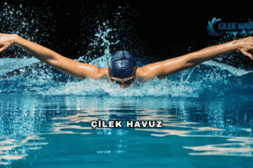 Çilek Havuz Hakkında