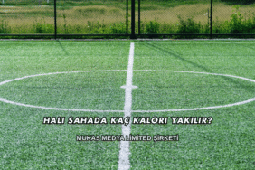 Halı Sahada Kaç Kalori Yakılır?